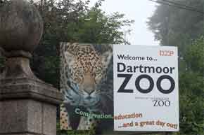 Dartmoor Zoo