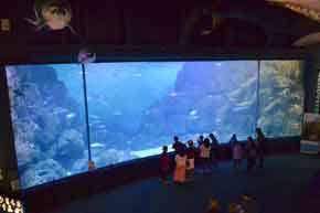 National Marine Aquarium