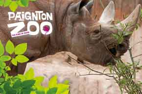 Paignton Zoo